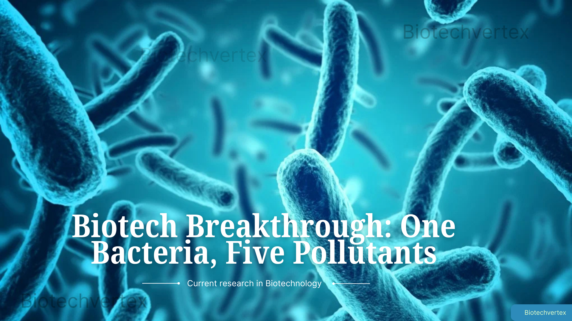 One Bacteria, Five Pollutants